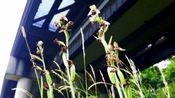 London Gatwick publishes its second ‘Decade of Change’ goals - a sustainability policy looking ahead to 2030