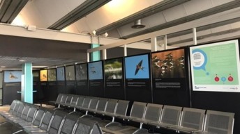 L'aéroport de Grenoble Alpes Isère signe une convention avec la Ligue pour la Protection des Oiseaux