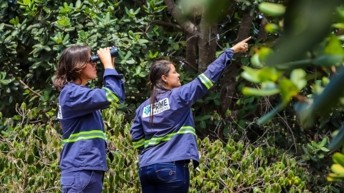 Brazil: Salvador Bahia Airport’s environmental initiatives presented at international events on sustainability