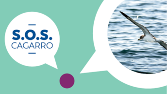 SOS CAGARRO