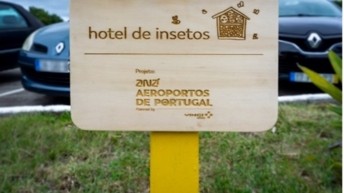 HOTEL PARA INSETOS