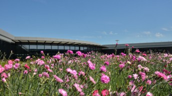 VINCI Airports et la Chambre d’agriculture du Rhône lancent un premier projet agricole local en label bas carbone « grandes cultures »