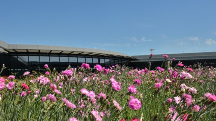 VINCI Airports and the Rhône Chamber of Agriculture launch the first local agricultural project with a "field crops" low-carbon label