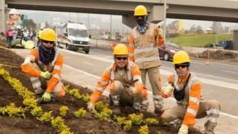 Vía 40 Express apoya sembratón “Por amor a Melgar y a nuestros bosques”