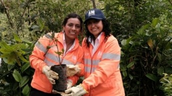 Vía 40 Express donó 1.700 árboles en el Día de la Tierra
