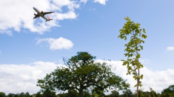 London Gatwick celebrates supporting local green space