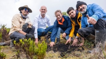 Vía Sumapaz sembrará 6.500 frailejones en el páramo más grande del mundo