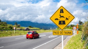 Un nuevo puente festivo y se espera que cerca de 120.000 vehículos se movilicen por la vía Bogotá–Girardot