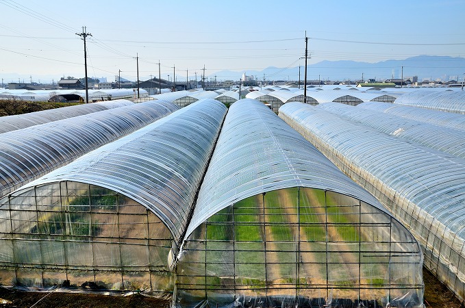 未経験歓迎の白井装建社株式会社で働く魅力をお伝えします！