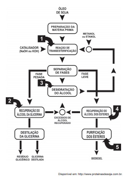 Banco de preguntas
