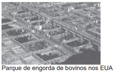 Banco de preguntas