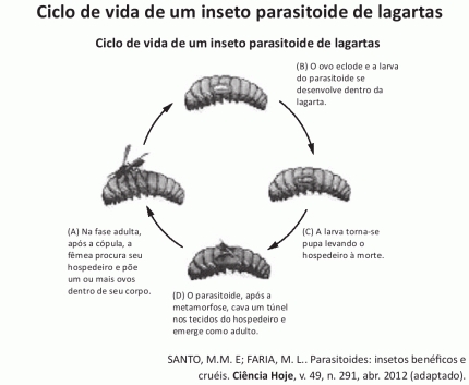 Banco de preguntas