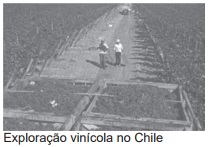 Banco de preguntas