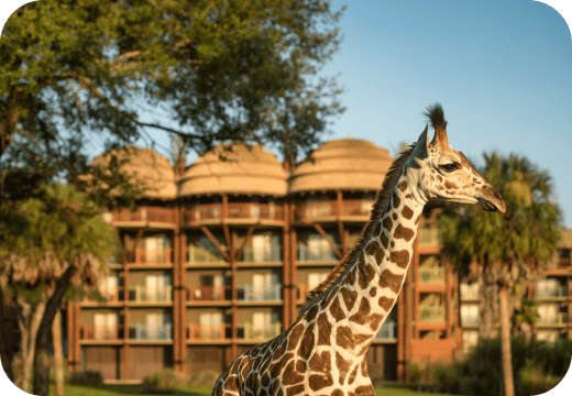Disney Deluxe Resort Hotels