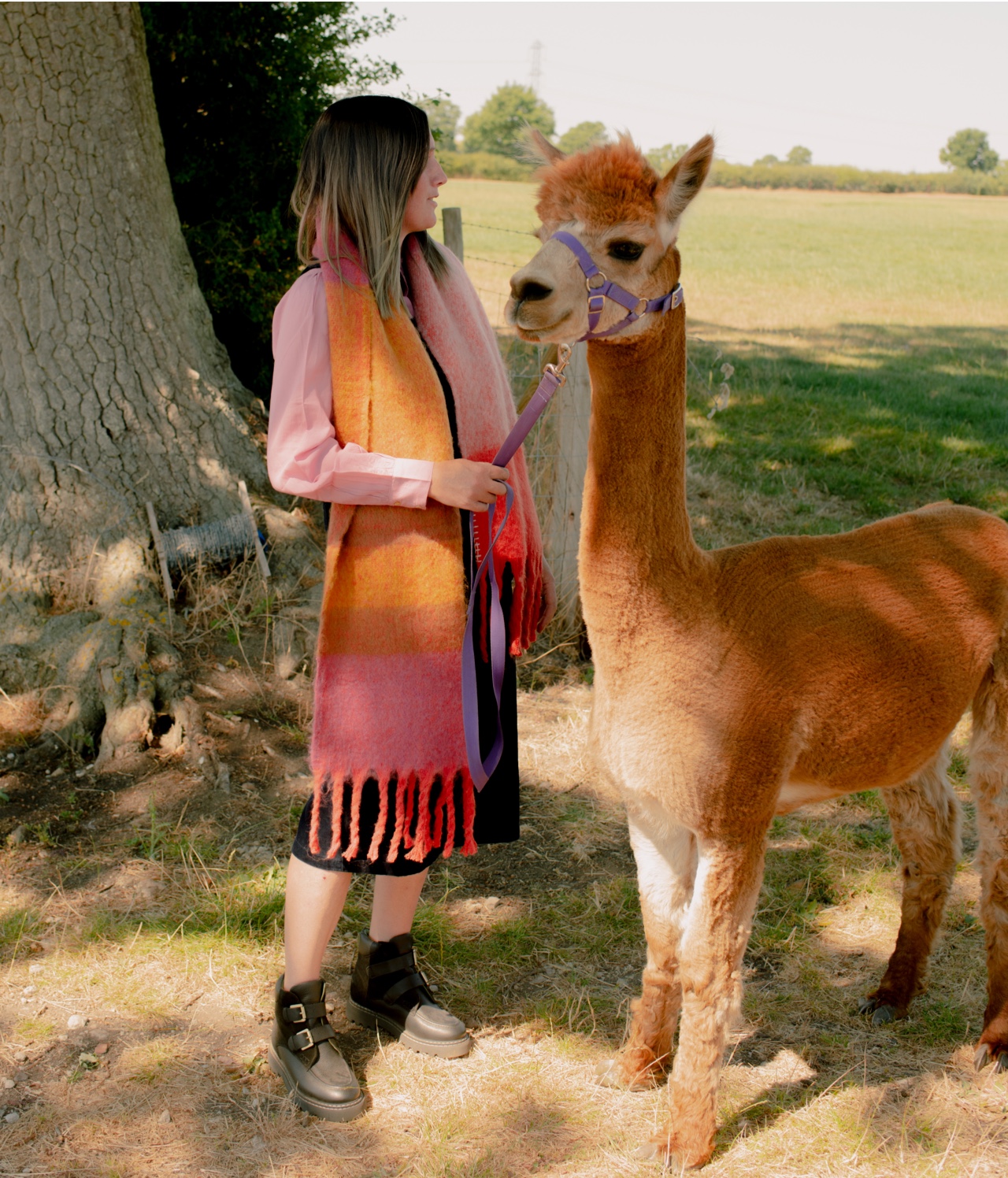 Shop Knitwear