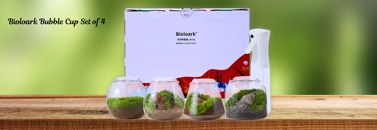 Bioloark Bubble Cup