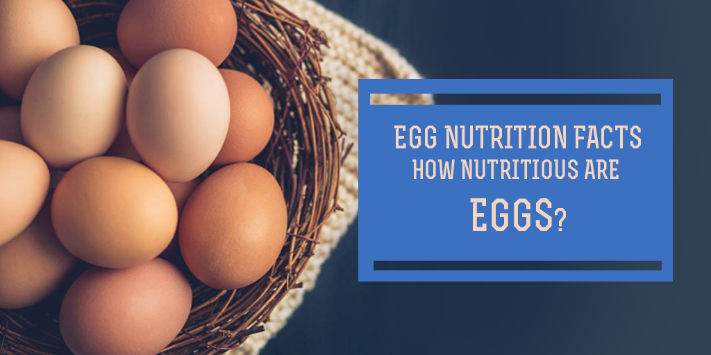 Egg Nutrition Facts - How Nutritious are Eggs? Buy Medicine Online, Online Pharmacy Noida, Online Medicines, Buy Medicine Online Noida, Nearby Pharmacy, Purchase Medicine Online, GoMedii