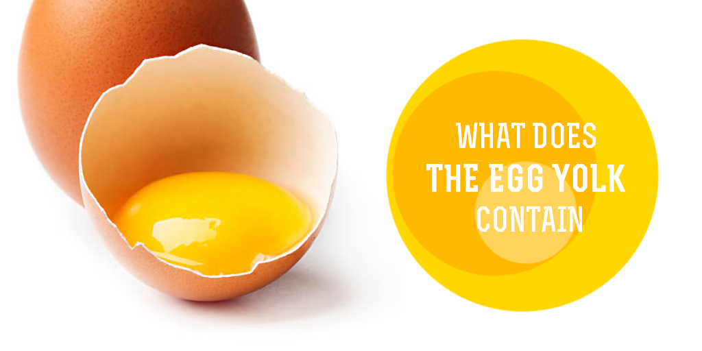 What Does the Egg Yolk Contain, Buy Medicine Online, Online Pharmacy Noida, Online Medicines, Buy Medicine Online Noida, Nearby Pharmacy, Purchase Medicine Online, GoMedii