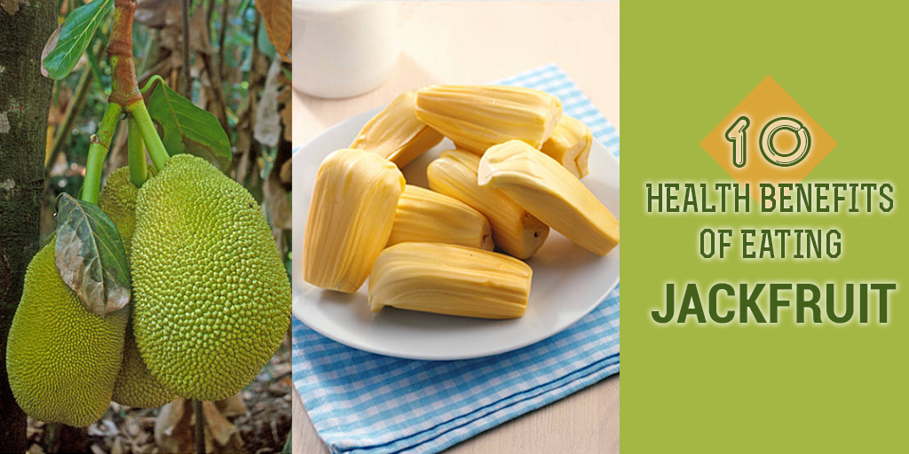10 Health Benefits of Eating Jackfruit, Buy Medicine Online, Online Pharmacy Noida, Online Medicines, Buy Medicine Online Noida, Nearby Pharmacy, Purchase Medicine Online, GoMedii