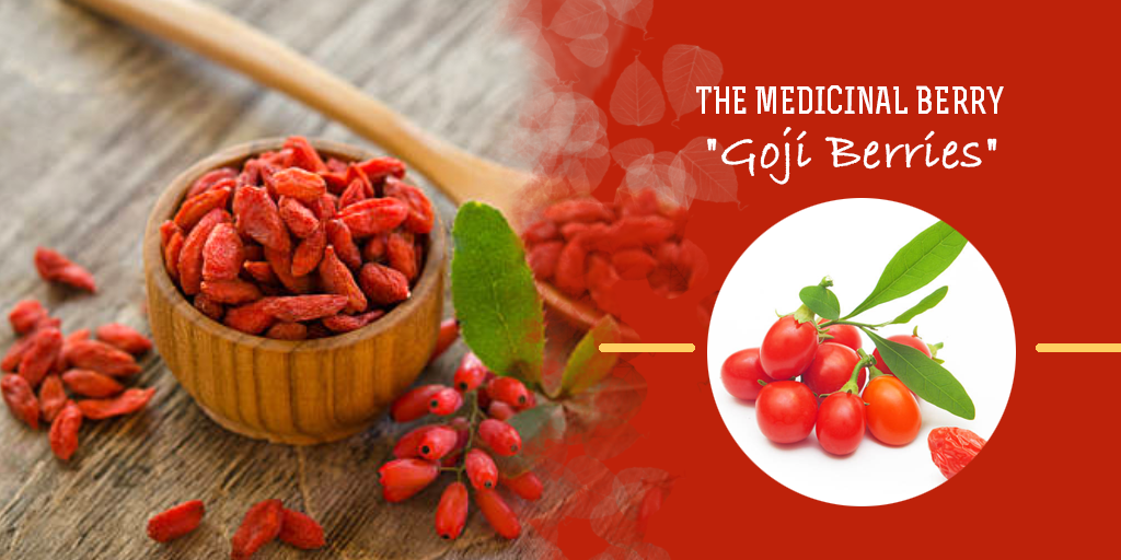 The Medicinal Berry "Goji Berries", Buy Medicine Online, Online Pharmacy Noida, Online Medicines, Buy Medicine Online Noida, Nearby Pharmacy, Purchase Medicine Online, GoMedii