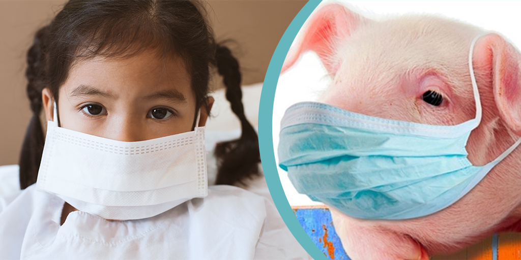 Swine Flu, Buy Medicine Online, Online Pharmacy Noida, Online Medicines, Buy Medicine Online Noida, Nearby Pharmacy, Purchase Medicine Online, GoMedii