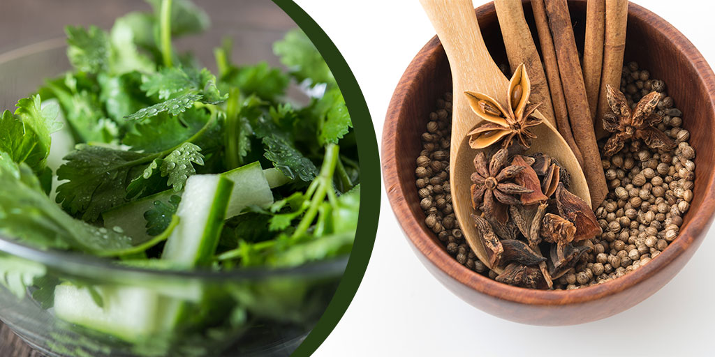 Top 6 Medicinal Properties of Coriander - Buy Medicine Online, Online Pharmacy Noida, Online Medicines, Buy Medicine Online Noida, Nearby Pharmacy, Purchase Medicine Online, GoMedii