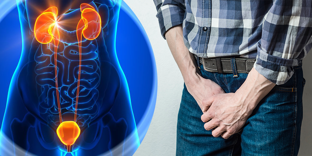 Prostatitis- Symptoms, Causes, Prevention, and Treatment, Buy Medicine Online, Online Pharmacy Noida, Online Medicines, Buy Medicine Online Noida, Nearby Pharmacy, Purchase Medicine Online, GoMedii, Nearby Chemist, Medical Store Near Me, Cheap Medicine Online