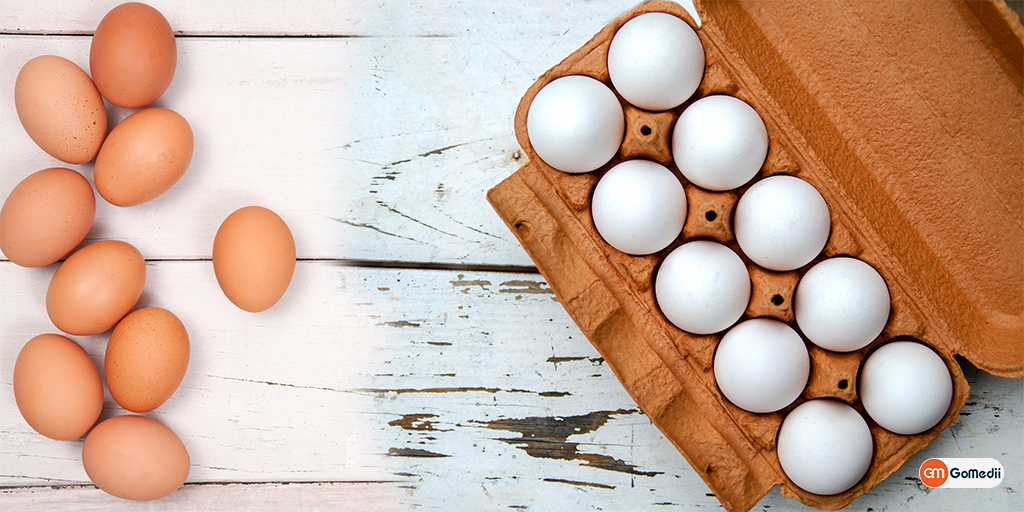 What is Better: White Egg vs Brown Egg, Order Medicine Online , Online Pharmacy India, Medicine Store, Online Medical Store, Purchase Medicine Online, Medicine Online, Online Pharmacy Noida, Online Chemist Crossing Republic, Online Medicines, Buy Medicine Online India, Online Pharmacy Gaur City