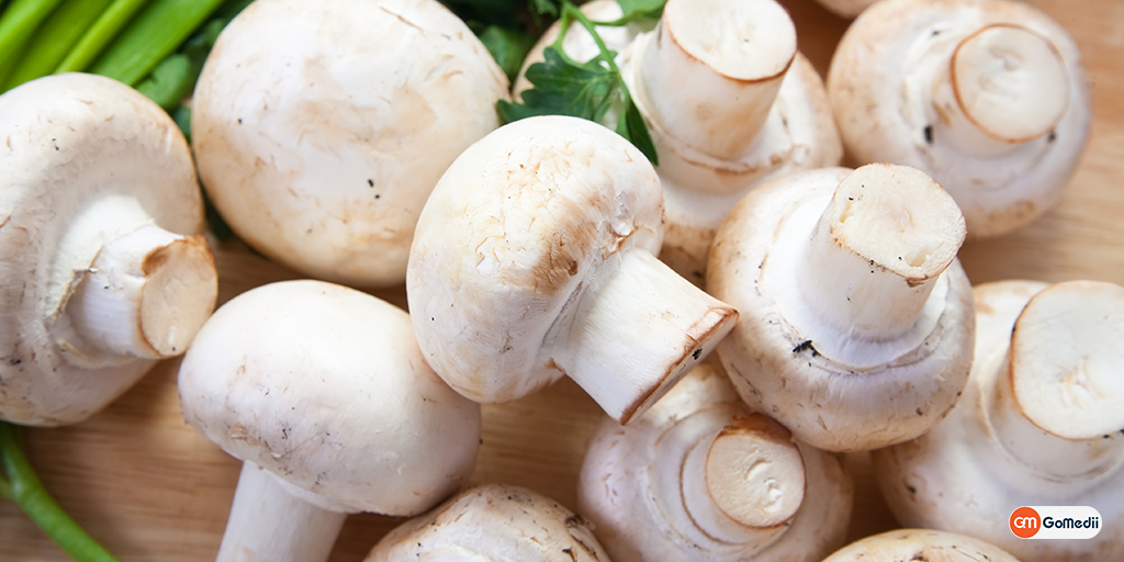 Pigment in Wild Mushrooms of Goa May Help Fight Cancer, Order Medicine Online , Online Pharmacy India, Medicine Store, Online Medical Store, Purchase Medicine Online, Medicine Online, Online Pharmacy Noida, Online Chemist Crossing Republic, Online Medicines, Buy Medicine Online India, Online Pharmacy Gaur City