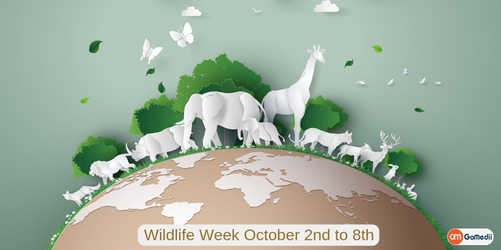 Wildlife Week 2018 (October 2nd-8th) in India, Medicines, Online Medicines, Order Medicine Online, Online Pharmacy, Buy Medicine, Purchase Medicine, Medicine Home Delivery, Pharmacy Near Me, Medical Store Near me, Fast Delivery of Medicine, Discount On Medicines, Book Appointment With Doctor, Online Doctor, Doctor Consultation Online, Second Opinion With Doctor
