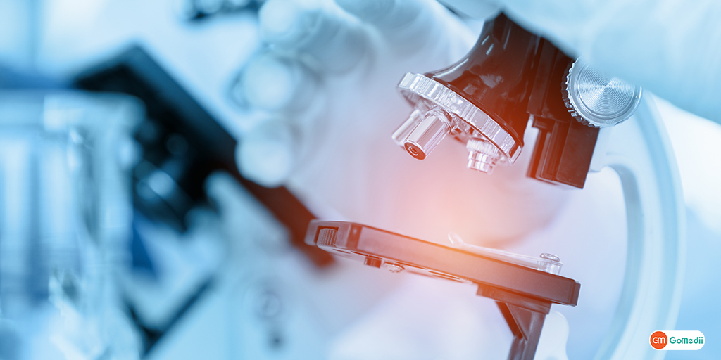 How To Develop Antibodies? You Should Know the Importance-GoMedii