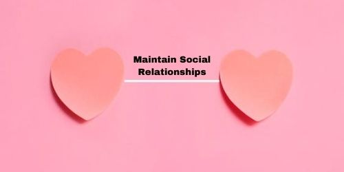 Ways To Maintain Your Health, Tips To Maintain Your Health, Eat a healthy and balanced diet, Stay Active, Manage and Reduce Stress, Improve Sleep Quality, Maintain Social Relationships, Keep Your Brain Active and Healthy, Reduce Your Alcohol Intake, Drink Plenty of Water, Maintain Personal Hygiene