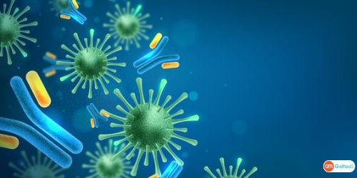 How To Develop Antibodies, Natural Antibody, Types Of Antibodies