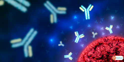 How To Develop Antibodies, Natural Antibody, Types Of Antibodies