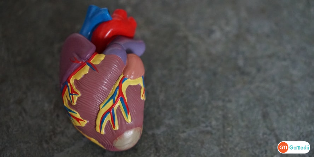 How Much Does Aortic Valve Repair Treatment cost in India
