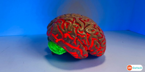 Cost Epilepsy Treatment in NCR, Epilepsy Treatment In Delhi, Epilepsy Treatment Hospitals In Delhi, Doctor For Epilepsy In Delhi, Treatment For Epilepsy In India