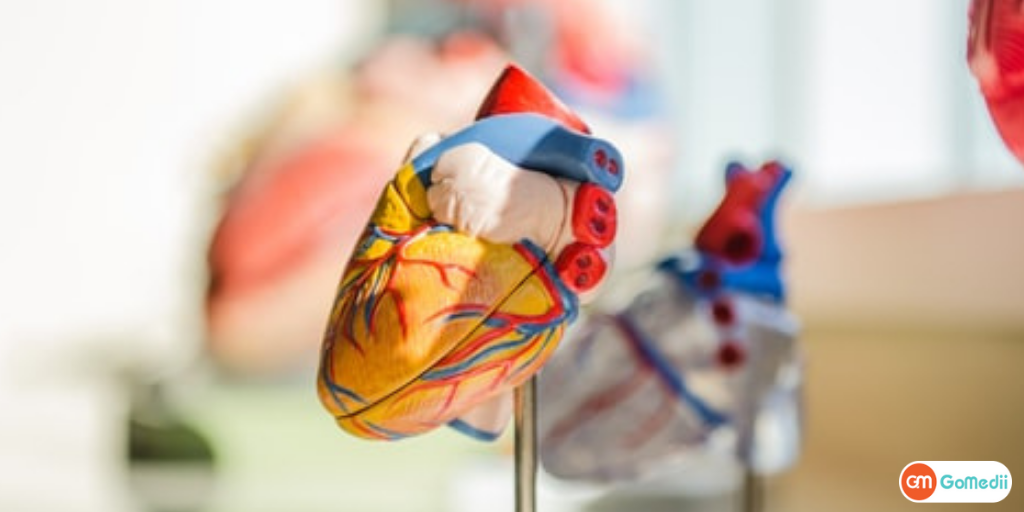 How Do I Get Cheaper Heart Blockage Surgery In India?-GoMedii