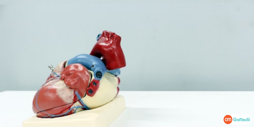 Why Doctors Are Reducing Open Heart Surgery Prices in Delhi?-GoMedii