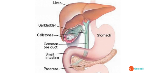 Liver Cyst Treatment In Dubai, Liver Cyst Treatment Cost in Dubai, Procedure Of Liver Cyst Treatment, Liver Transplant Cost In Dubai, Liver Specialist In Dubai, Cost Of Liver Function Test In Dubai