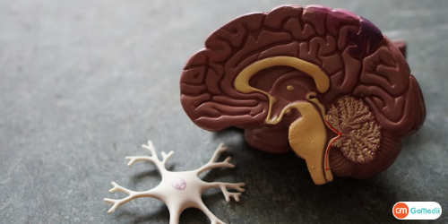 Brain Hemorrhage Treatment in Singapore, Brain Hemorrhage Treatment in India, brain hemorrhage symptoms, Brain Hemorrhage Causes, Brain Hemorrhage Treatment Hospitals In World