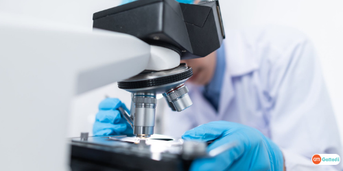  IVF Process Start To Finish, IVF Treatment Cost In Mumbai, IVF Treatment Cost In Bangalore, IVF Treatment Cost In Gurugram, IVF Treatment Cost In Delhi, IVF Treatment In Delhi NCR,