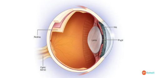 Optic Nerve Damage Treatment In Delhi, Treatment Cost Of Optic Nerve Damage In Delhi, Optic Nerve Damage, Optic Neuritis, Symptoms Of Optic Nerve Damage, Causes Of Optic Nerve Damage, Diagnose Optic Nerve Damage