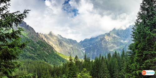 Places To Visit In Poland, Krakow, Warsaw, Tatra Mountains, Wroclaw, Bialowieza Forest Reserve, Treatment In Poland Places To Visit In Poland, Krakow, Warsaw, Tatra Mountains, Wroclaw, Bialowieza Forest Reserve, Treatment In Poland