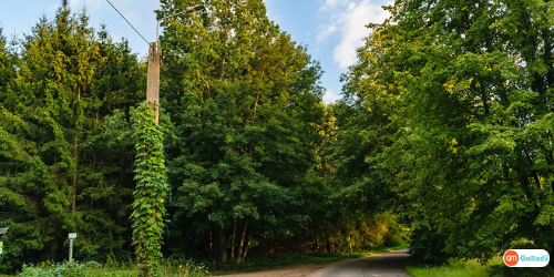 Places To Visit In Poland, Krakow, Warsaw, Tatra Mountains, Wroclaw, Bialowieza Forest Reserve, Treatment In Poland Places To Visit In Poland, Krakow, Warsaw, Tatra Mountains, Wroclaw, Bialowieza Forest Reserve, Treatment In Poland