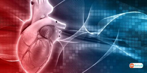 Affordable Treatment With Dr. Neeraj Bhalla, Dr. Neeraj Bhalla Cardiologist, Best Cardiologist in Delhi, Dr Neeraj Bhalla Clinic, Treatment With Dr. Neeraj Bhalla At GoMedii, Experiences of Dr. Bhalla
