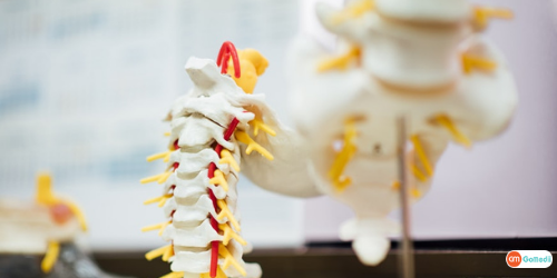 Thoracic Spine Surgery In India, procedure of Thoracic spine surgery, types of Thoracic Spine Surgery, thoracic spine surgery recovery time, Thoracic spine surgery cost in india Thoracic Spine Surgery In India, procedure of Thoracic spine surgery, types of Thoracic Spine Surgery, thoracic spine surgery recovery time, Thoracic spine surgery cost in india