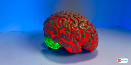 What is the cost of Brain Tumor Surgery in India