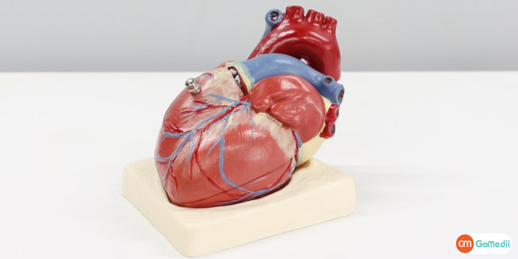 Angioplasty and Stent in India: Heart Care with Advanced Technology