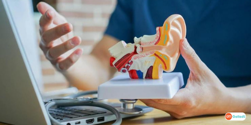 Best Ear Doctor In Delhi, List Of Ear Doctor In Delhi, Dr. Rajesh Kr. Bhardwaj MBBS, MS - ENT DNB - ENT, Dr. Jayant Jaswal, MBBS, Dr. Munish Taneja MBBS MS - ENT, Dr. B K Agarwal MBBS MS - ENT, Dr. Rajeev Puri MBBS MS - ENT, Dr.Vipin Kakar Retd MBBS MS ENT, Types Of Ear Infections, Cost Of Ear Surgery In Delhi, Hospital For Ear Treatment In Delhi, Symptoms Of Ear Infections, Causes Of The Ear Problem Best Ear Doctor In Delhi, List Of Ear Doctor In Delhi, Dr. Rajesh Kr. Bhardwaj MBBS, MS - ENT DNB - ENT, Dr. Jayant Jaswal, MBBS, Dr. Munish Taneja MBBS MS - ENT, Dr. B K Agarwal MBBS MS - ENT, Dr. Rajeev Puri MBBS MS - ENT, Dr.Vipin Kakar Retd MBBS MS ENT, Types Of Ear Infections, Cost Of Ear Surgery In Delhi, Hospital For Ear Treatment In Delhi, Symptoms Of Ear Infections, Causes Of The Ear Problem