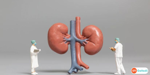 Hydronephrosis Surgery In India, Cost of Hydronephrosis Surgery in India, Hospital For Hydronephrosis Surgery In India, causes of Hydronephrosis, symptoms of Hydronephrosis, Doctor Diagnoses the Hydronephrosis, Treatment Options For Hydronephrosis